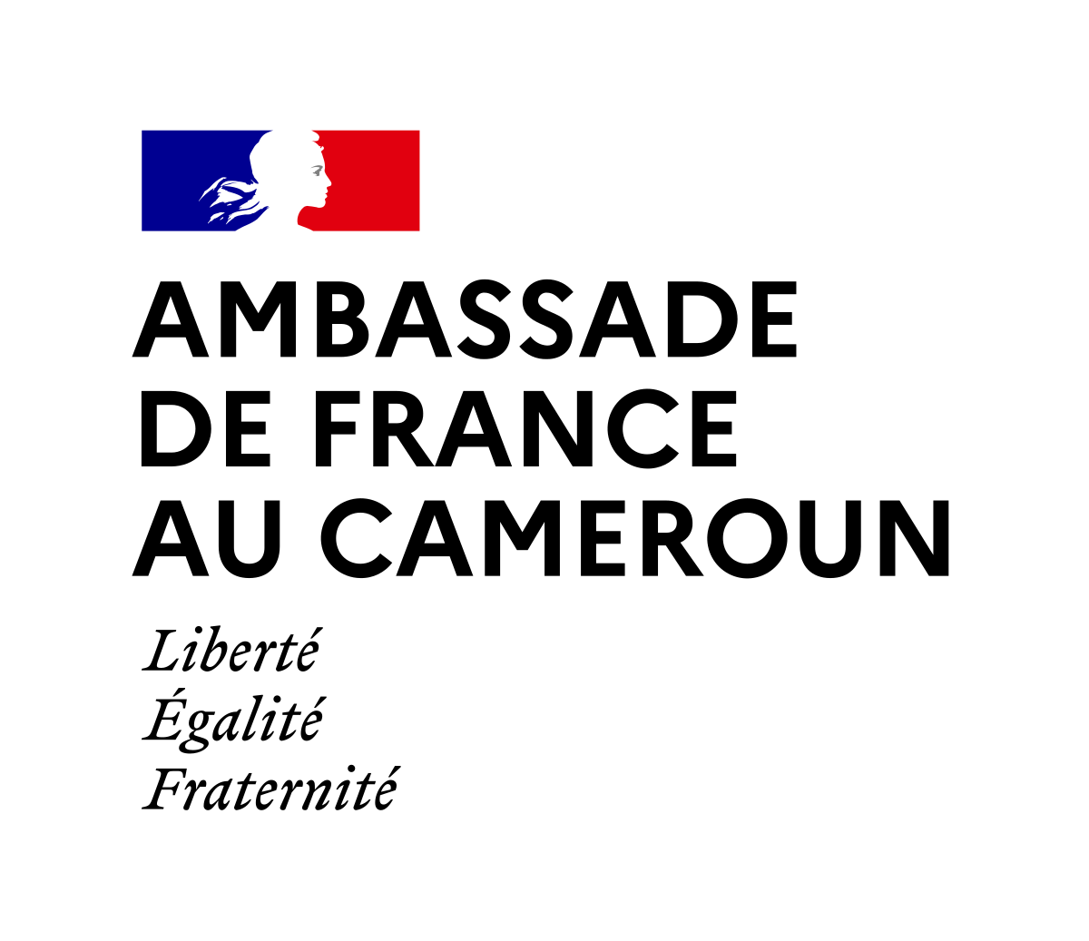 Ambassade de France au Cameroun